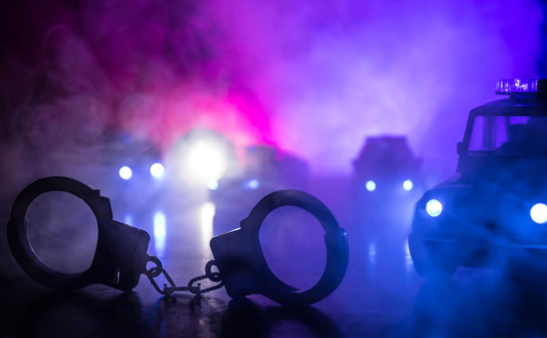 वैशाली में अवैध बालू खनन पर बड़ा एक्शन, 11 हाईवा और 5 ट्रैक्टर जब्त; डीएम के निर्देश पर छापेमारी वैशाली में अवैध बालू खनन पर बड़ा एक्शन, 11 हाईवा और 5 ट्रैक्टर जब्त; डीएम के निर्देश पर छापेमारी